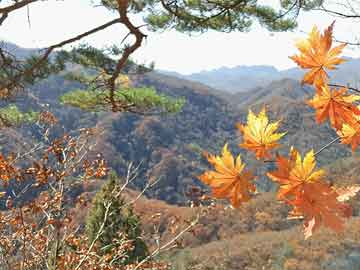 文旅局长现场发布“来东海 享晶彩”全网话题挑战赛