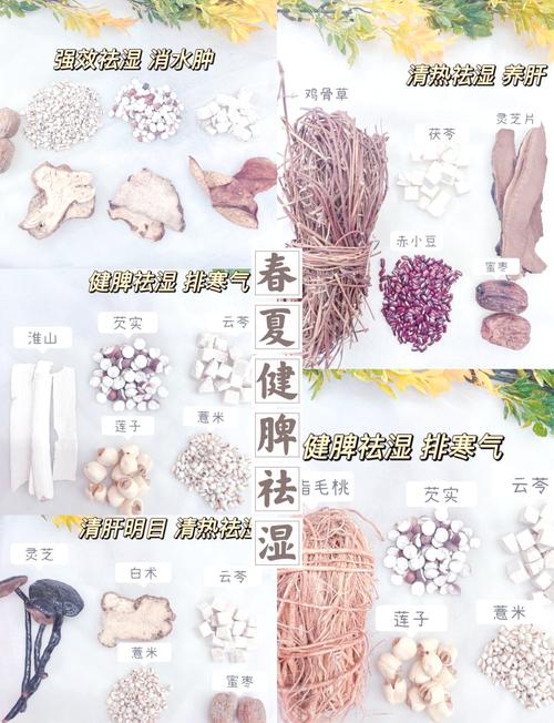 “春天祛湿汤，不劳医生帮”春天多喝这道汤，顺应节气精神饱满