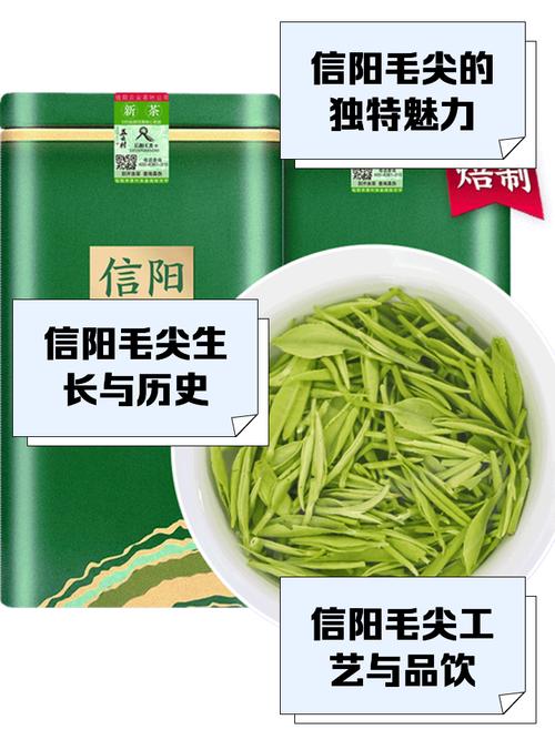 信阳毛尖少量达可采标准，想喝高山茶还要再等一周