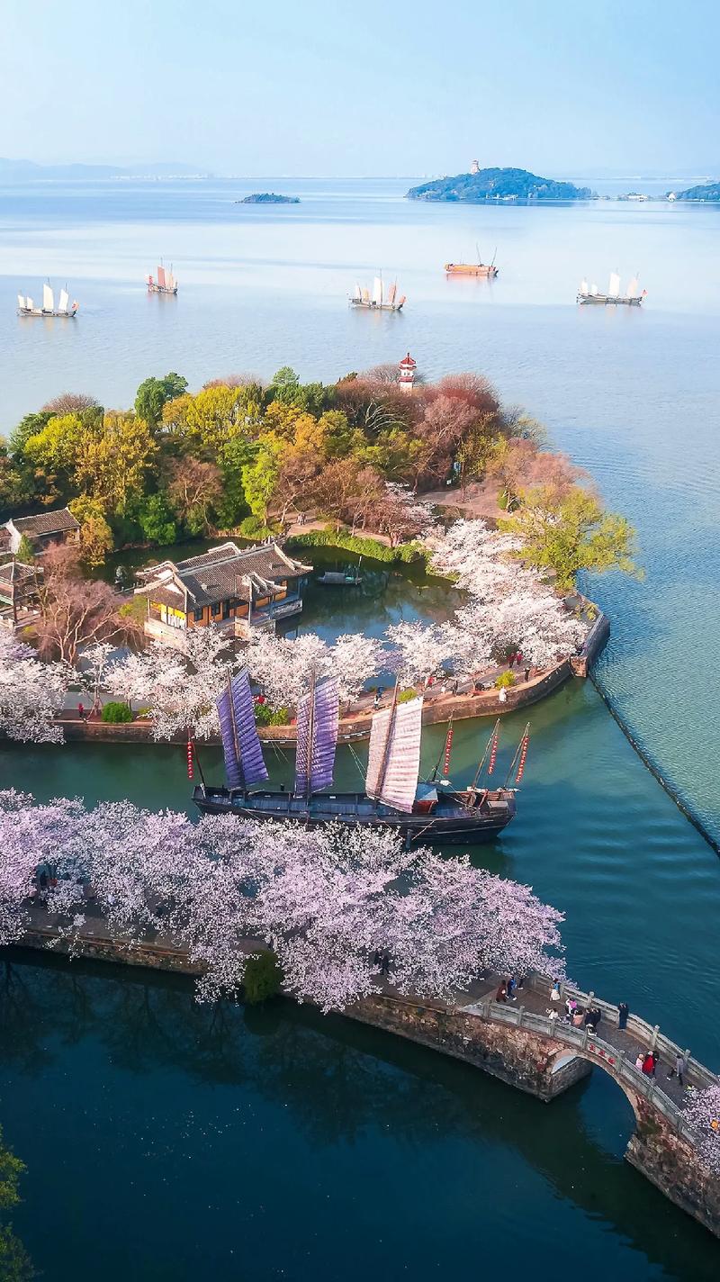 鼋头渚樱花谷，来无锡必游太湖，游太湖必至鼋头渚，太湖佳绝处