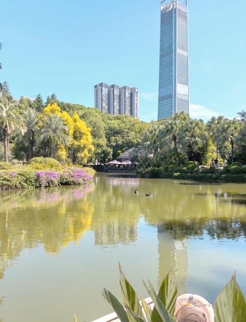 广州：全域公园建设进行时 市民尽享自然之美