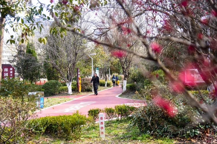 河东区综合行政执法局：春日“花漾”时光，口袋公园邀您共赴踏青之约