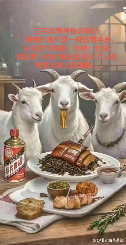 从喂羊到卖断货！谁在炒作羽衣甘蓝？