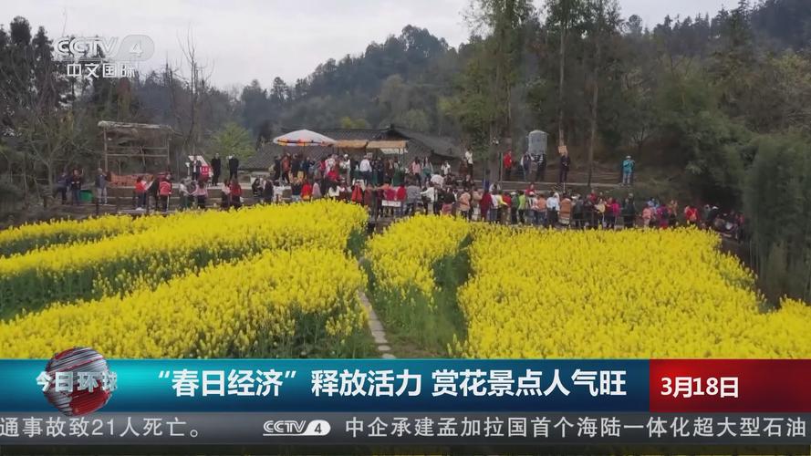 “花样”文旅激活“春日经济”