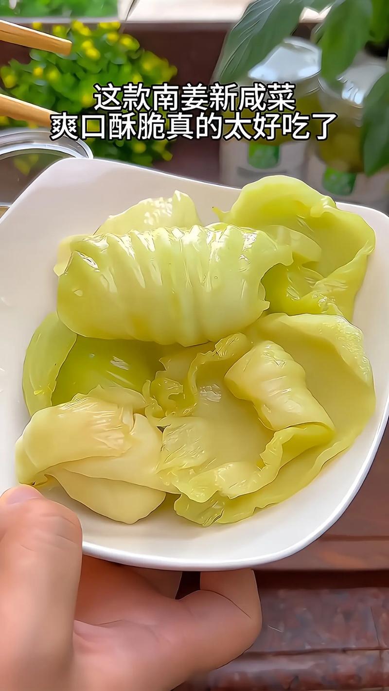 推荐十三款腌咸菜，早餐主菜正餐开胃菜都适合，美味好吃健康开胃