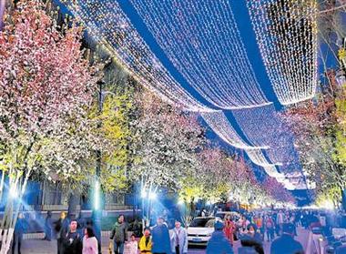夜赏海棠花开，黄兴公园海棠文化节开幕，首次开设灯光夜场