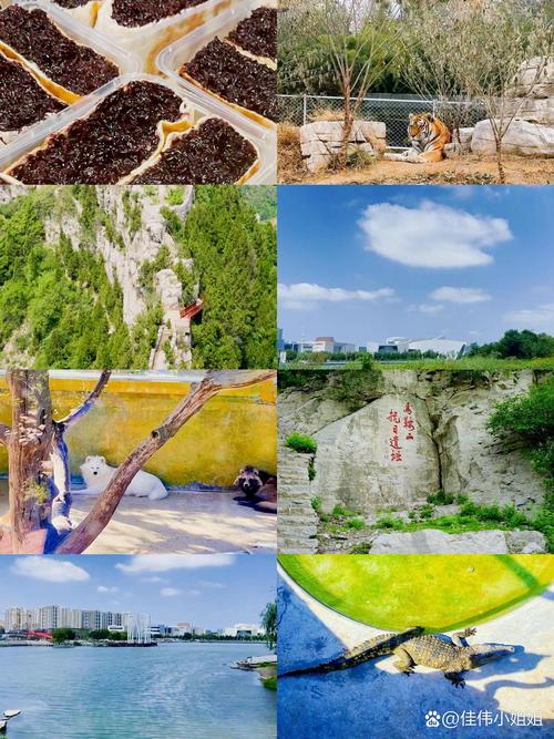 山东省淄博市高青县五个值得去的景区