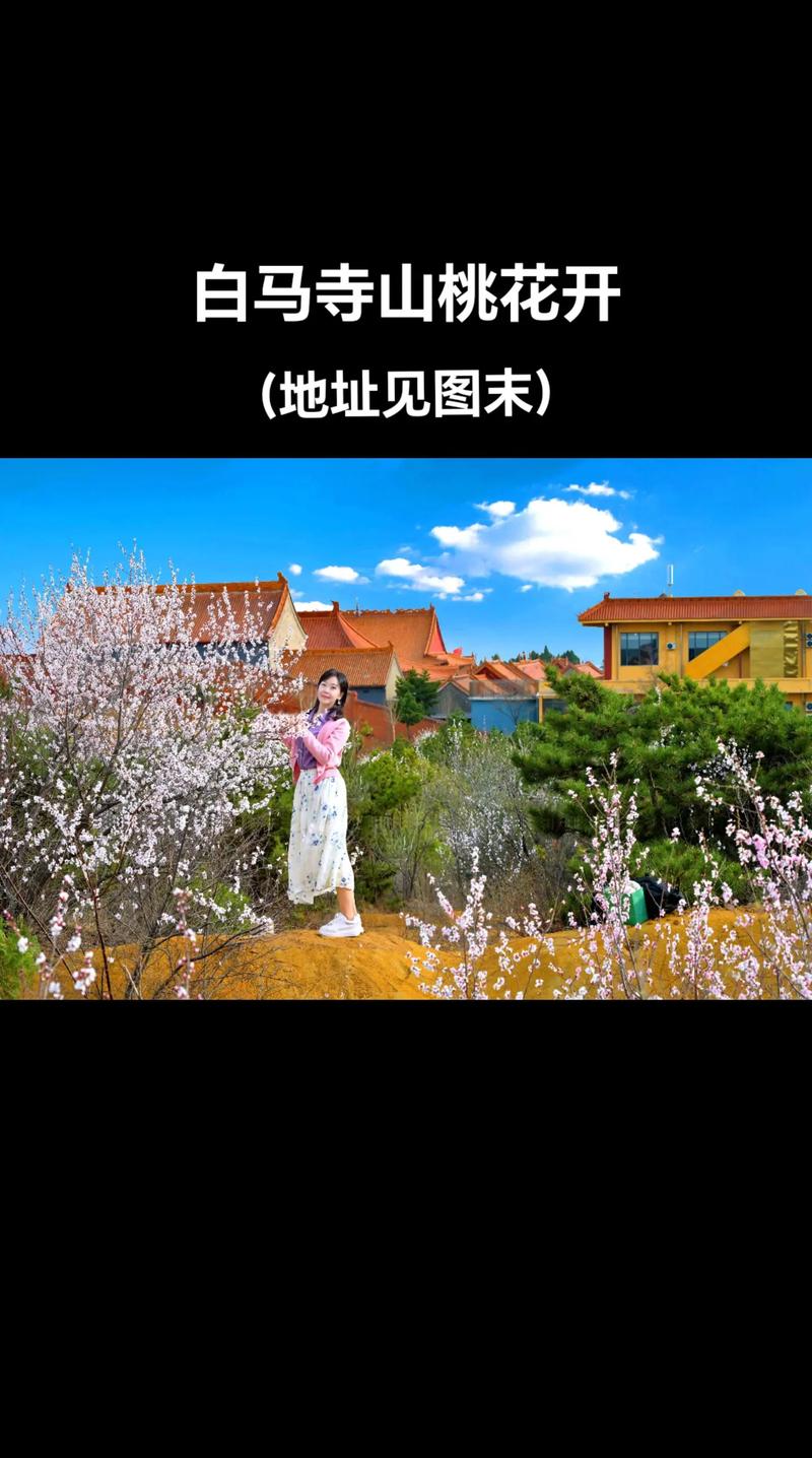 今天桃花山庙会你来了么#朝阳#桃花山#桃花山庙会#三月三庙会