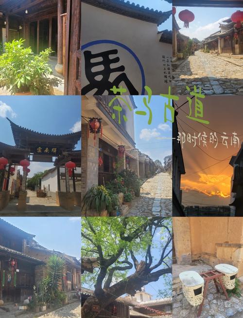 当 茶马古道”邂逅“魅力花都”传承与开放的和鸣正在改写这座丝路古城的剧本