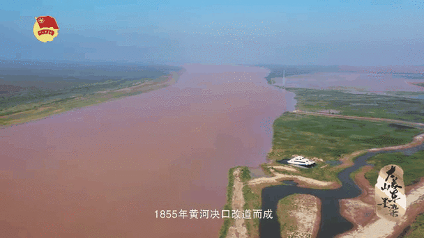 东营黄河入海口，大自然的鬼斧神工！
