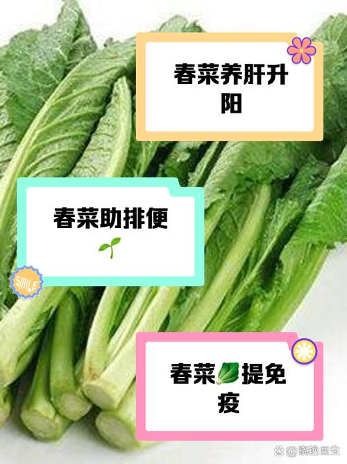 春季常吃这3种春菜，价格实惠，健脾养胃，清热凉血