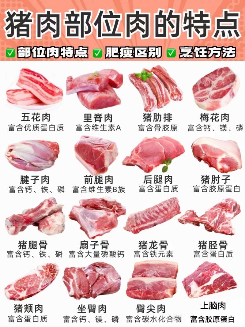 猪身上最好吃的肉排行，梅花肉倒数第一，里脊肉排第2，建议了解