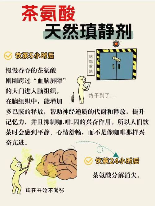 为什么要喝茶，这7张图带你了解茶进入身体之后
