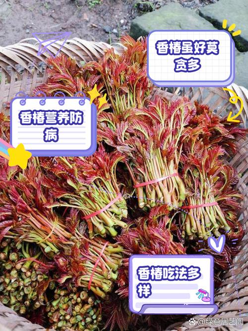 春天一定要吃的5种"芽"错过再等一年！别不信