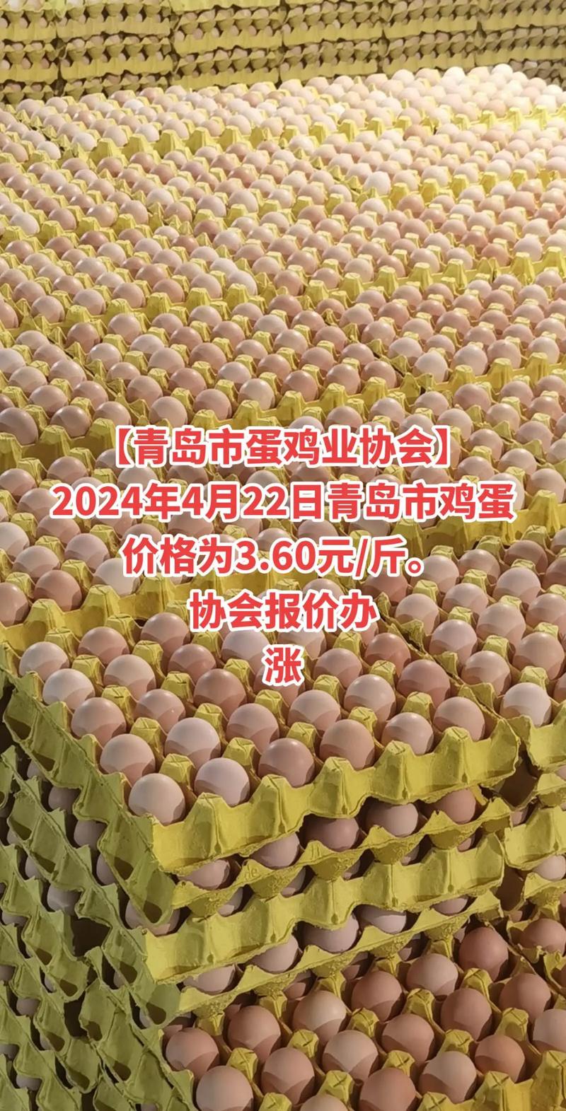 2025年3月29日山东鸡蛋价格实报