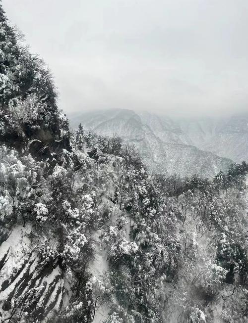 今日，汉中龙头山景区宛如梦幻冰雪世界