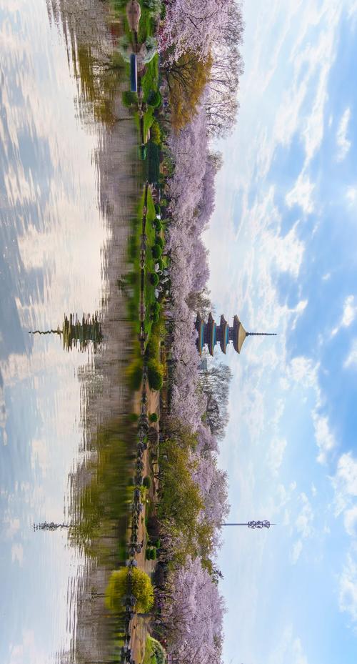 打卡东湖樱花园，花海中的真实赏花之旅！