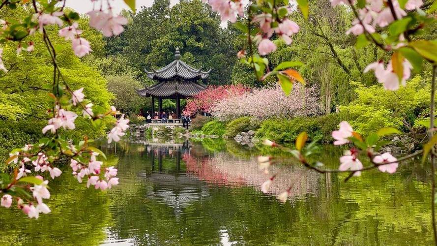 三月桃花朵朵开，丝丝缕缕醉心怀！游杭州桃花湖公园