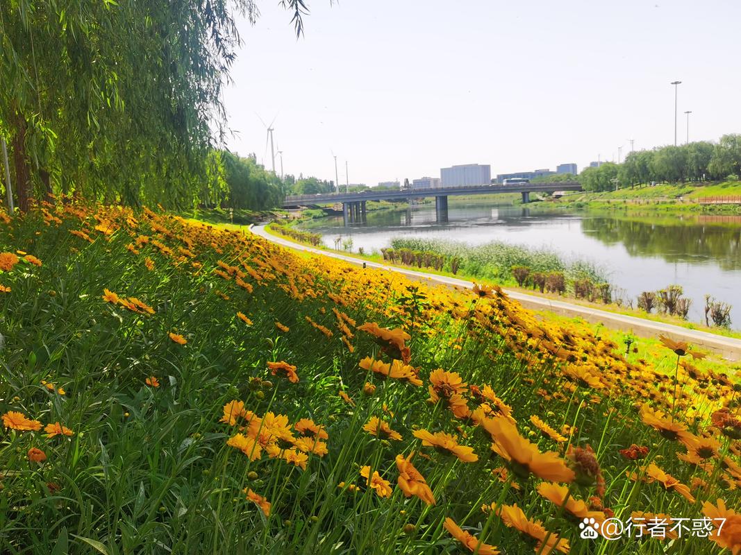 凉水河畔走一走，春和景明驱烦忧#头条首发