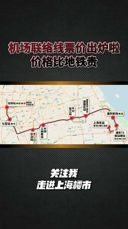 市域机场联络线 为何深得市民游客的心？