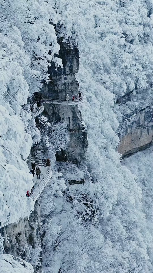 实拍！汉中多地迎来降雪！