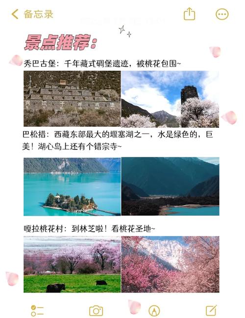 2025年4月2日 第37页