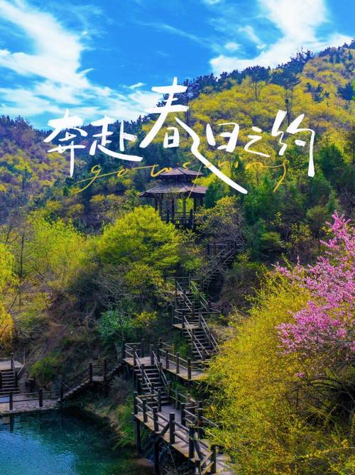 车友近日准备踏青赏花，不负春光。走进大自然放松心情