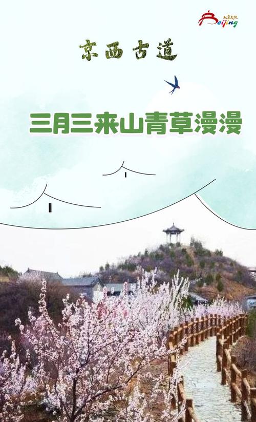 山亭开启“山花烂漫里踏青”主题春季文旅活动