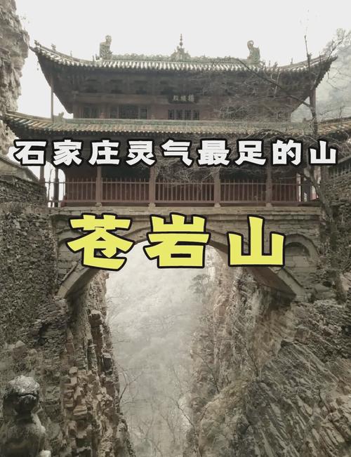 “苍岩山一日游”旅游专线开通！