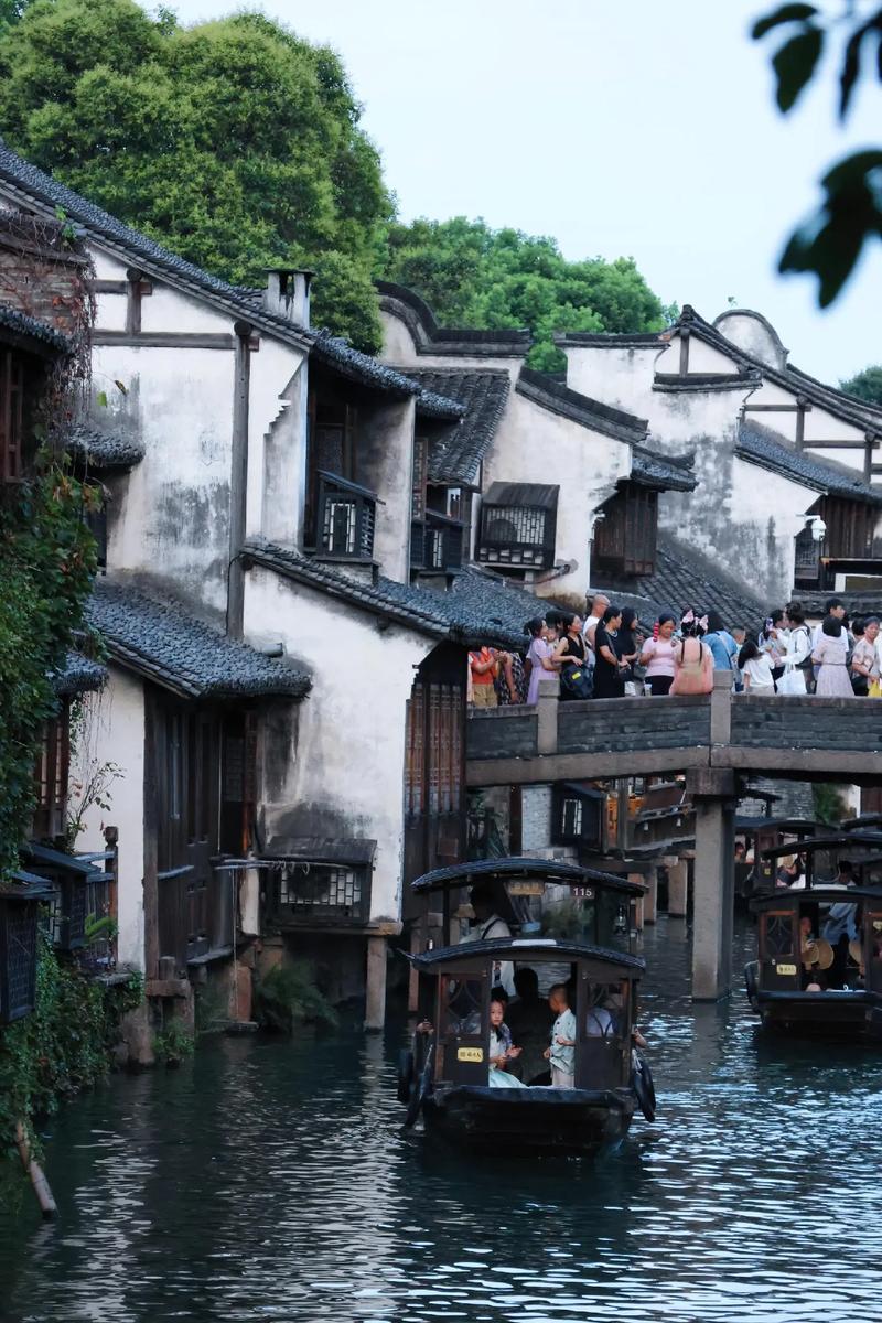 漫游江南水乡，体验别样风情