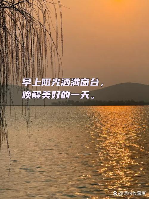 美好的一天