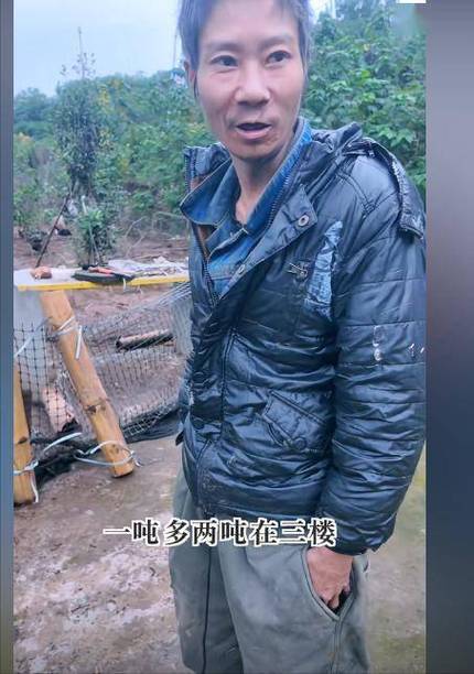网红“哥子”去世！年仅38岁，房子在高压线下，懒到用太阳晒水喝