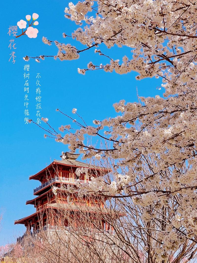 2025年4月2日 第15页