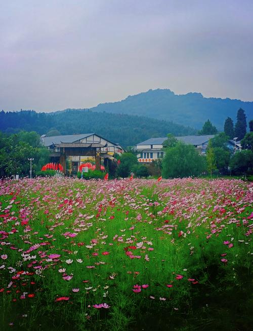 醉美下保村，打卡田园风光