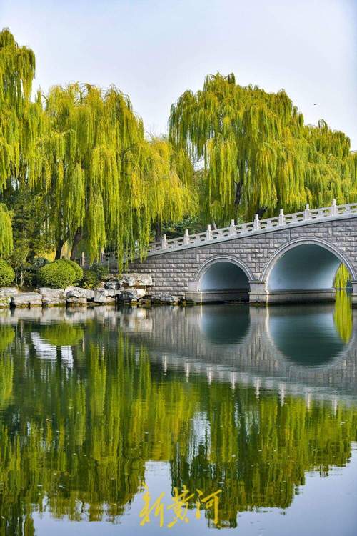 果然视频·好景山东|济南大明湖湖水如碧垂柳依，春日胜景美如画