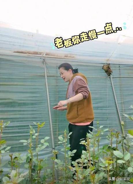 梅婷云南菜地摘花，素颜憔悴头发斑秃，穿土黄色衣服被认作农民