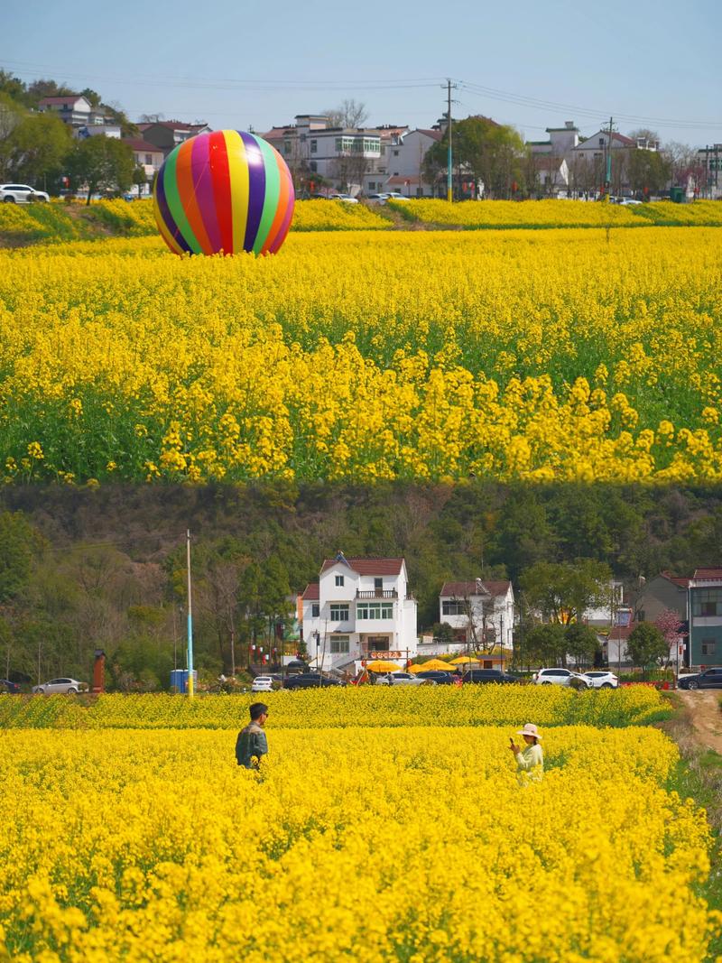 芜湖三山响水涧油菜花季节#欢乐芜湖春天有约