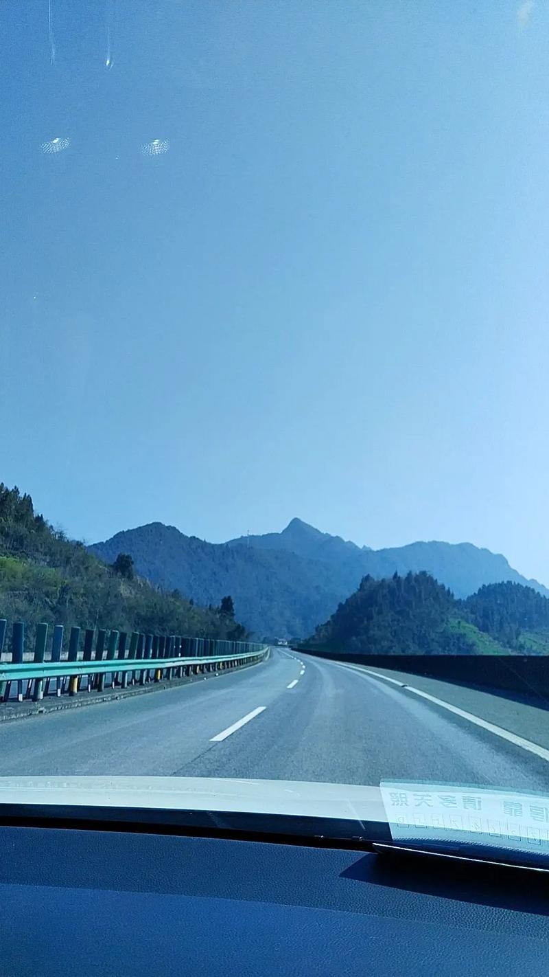 随心所欲南方游，风景在路上，去峨眉山的路上路灯挺特色哈
