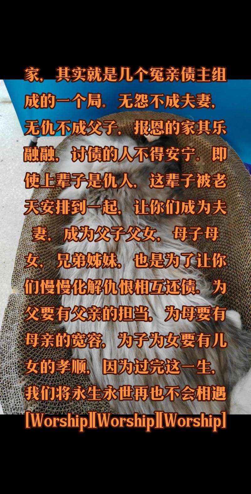 儿子寄养亲戚家被告知夭折，夫妻不信儿子已死40年后终团聚