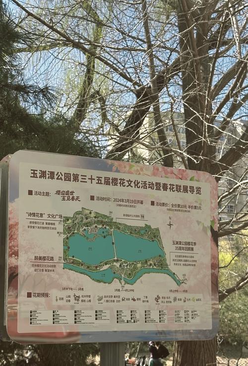 #北京头条#玉渊潭公园 樱花节期间门票：10元