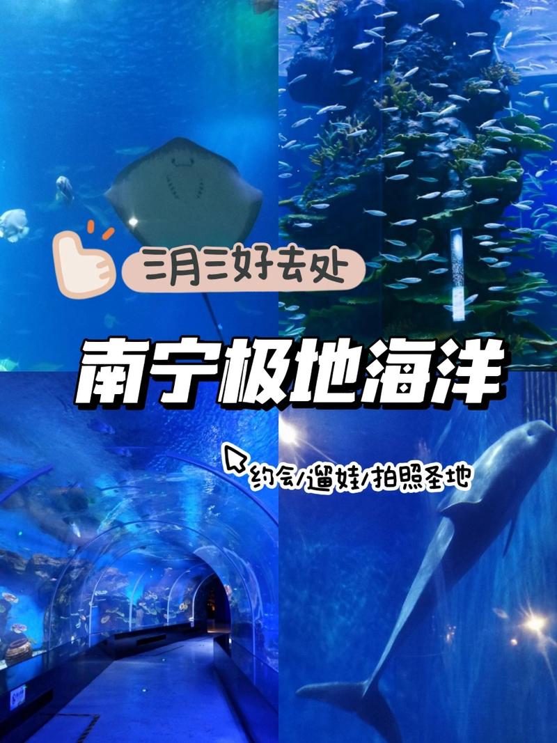 在玉林也有海洋世界了，拍照打卡很出片#广西三月三有多好玩