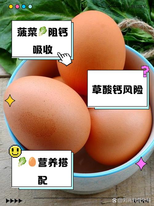 菠菜鸡蛋搭不搭？一文解开饮食疑惑