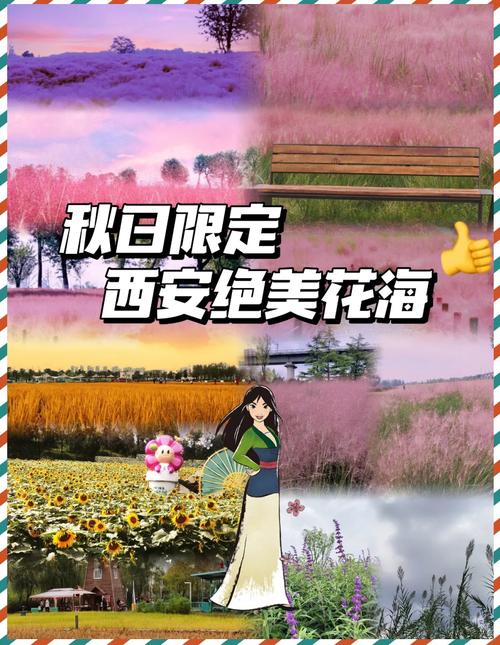 关中环线鄠邑段花开成海 市民踏青赏景迎"花漾"时节