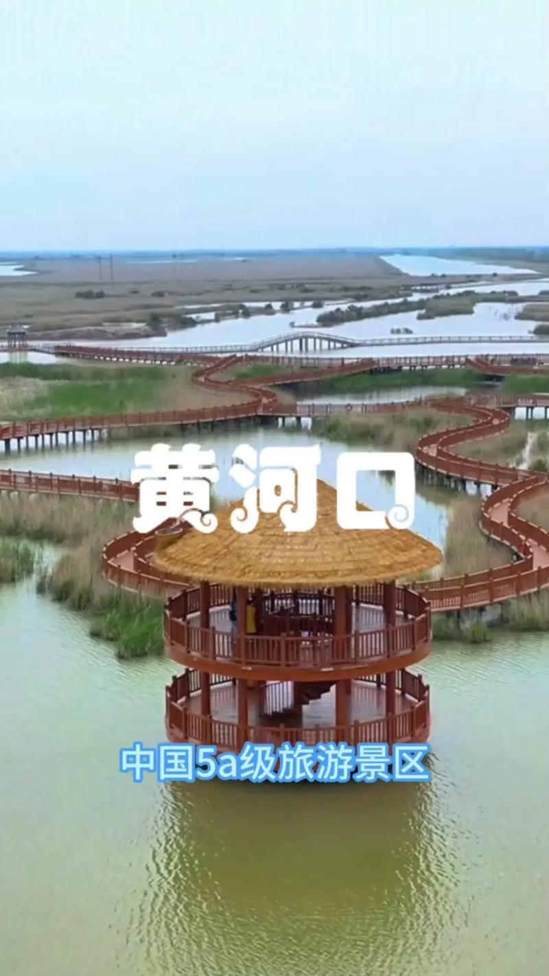 假日好去处丨清明出行必看！黄河口生态旅游区游玩指南」上线！