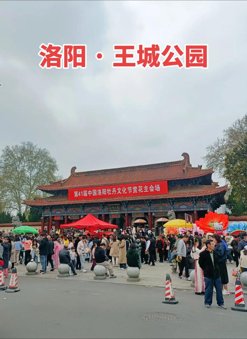 第六届牡丹节倒计时！临沂书法广场准备好了！