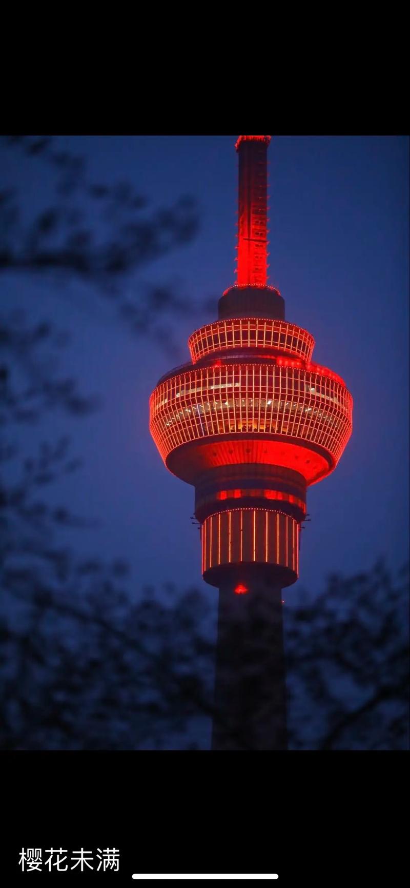 夜赏樱花是怎样的体验？玉渊潭公园清明开启夜景亮化