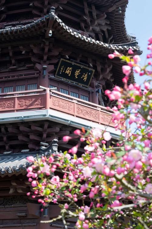 泰州•桃园