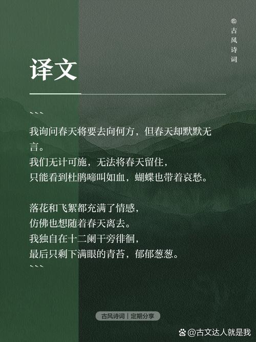 春日去撒野！揽云问春，拾一场山岚与繁花的私语！