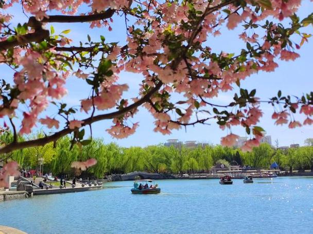 北京今日繁花似锦，美如油画