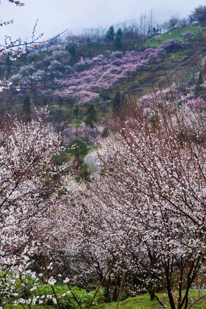 2025年4月5日